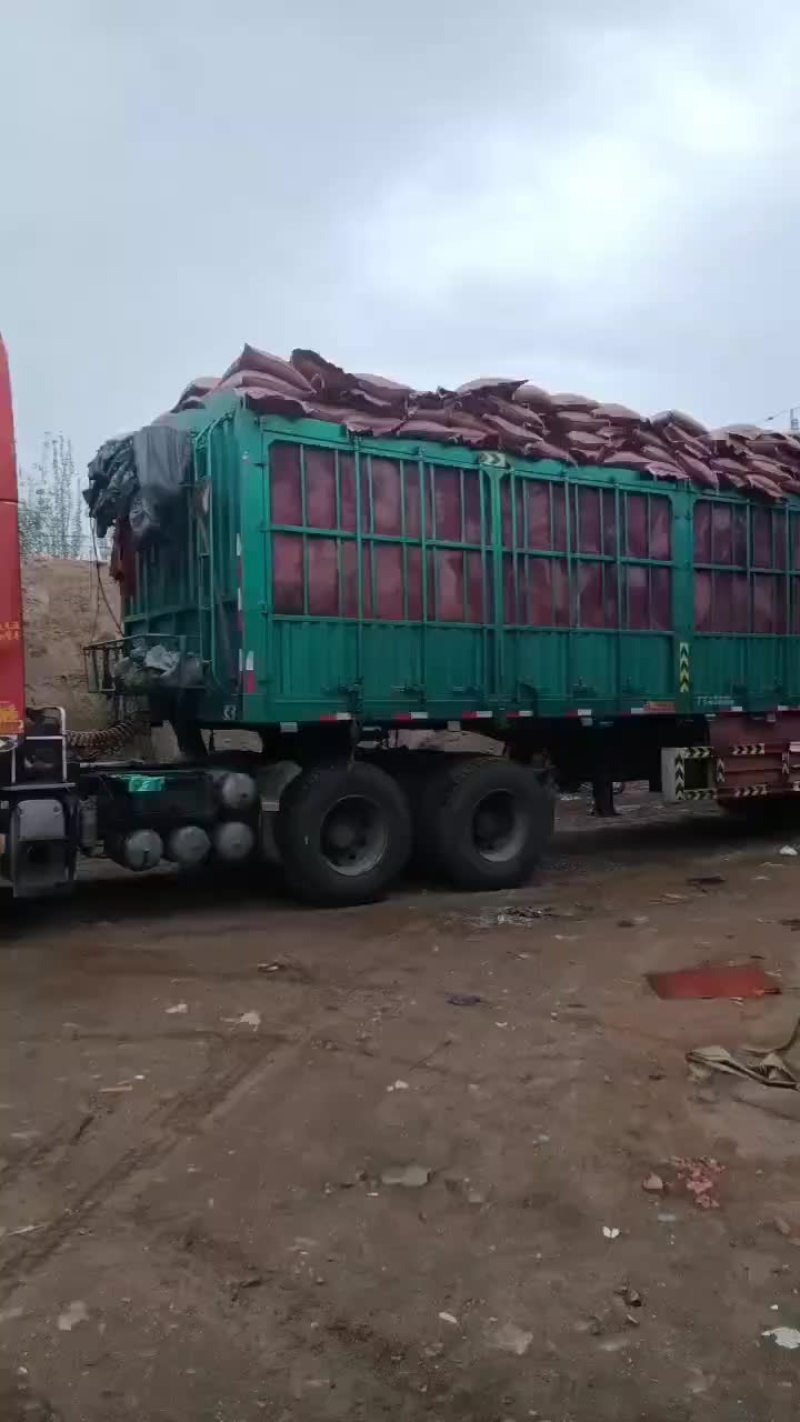 发酵纯羊粪专业生产厂家品质保障货源稳定可全国发货