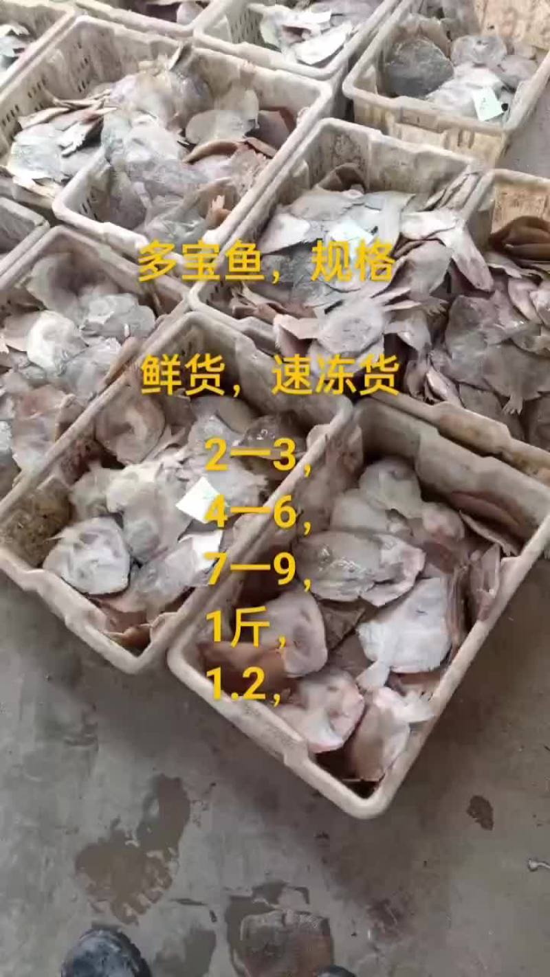 多宝鱼