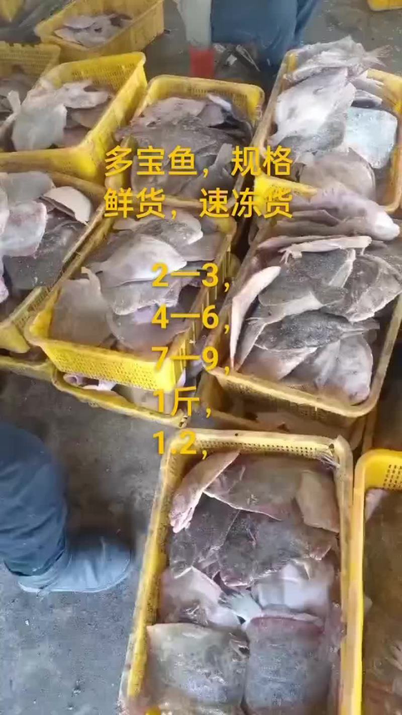 多宝鱼