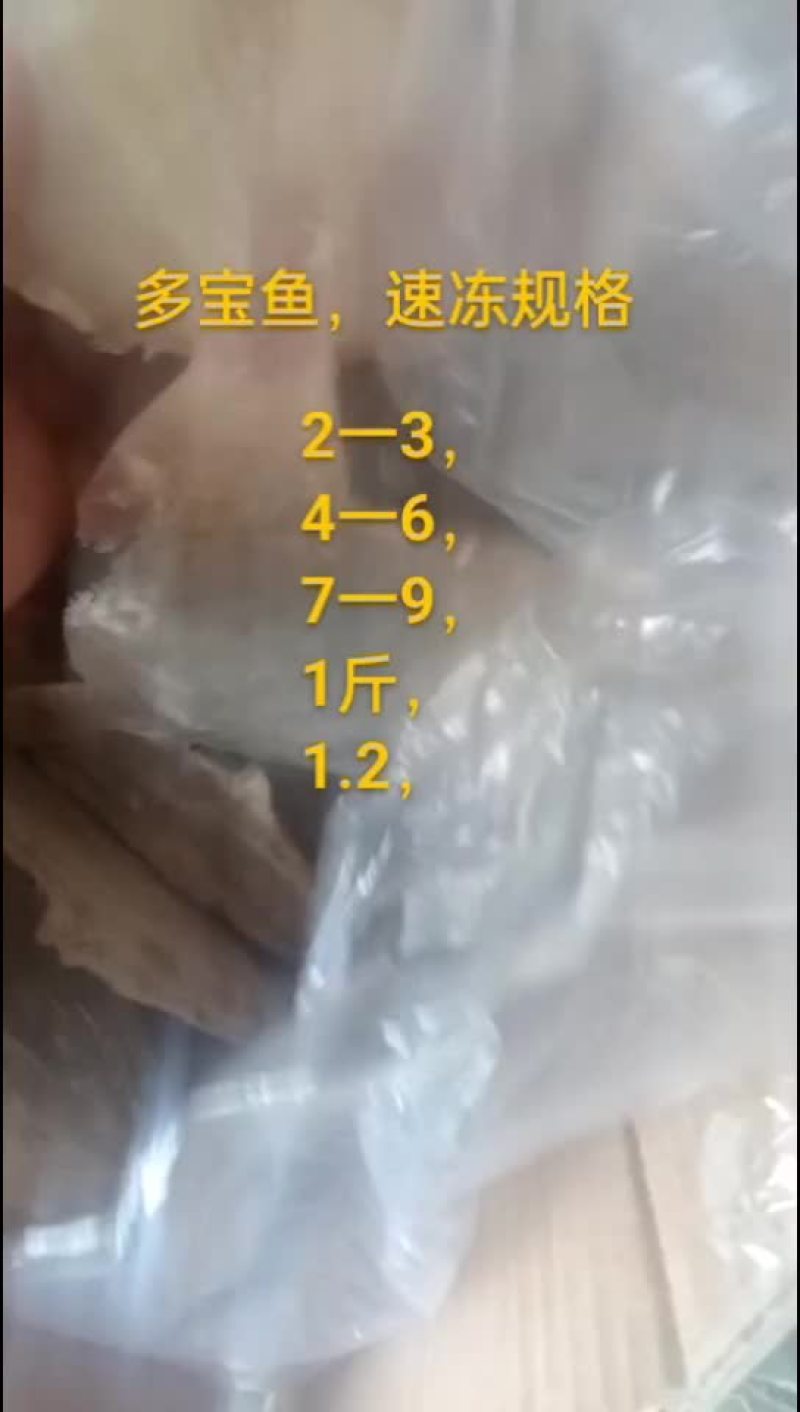 多宝鱼