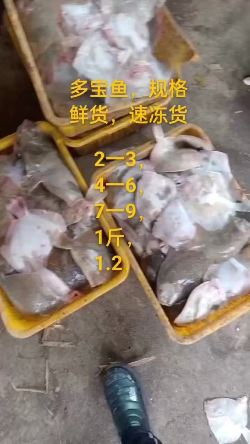 多宝鱼