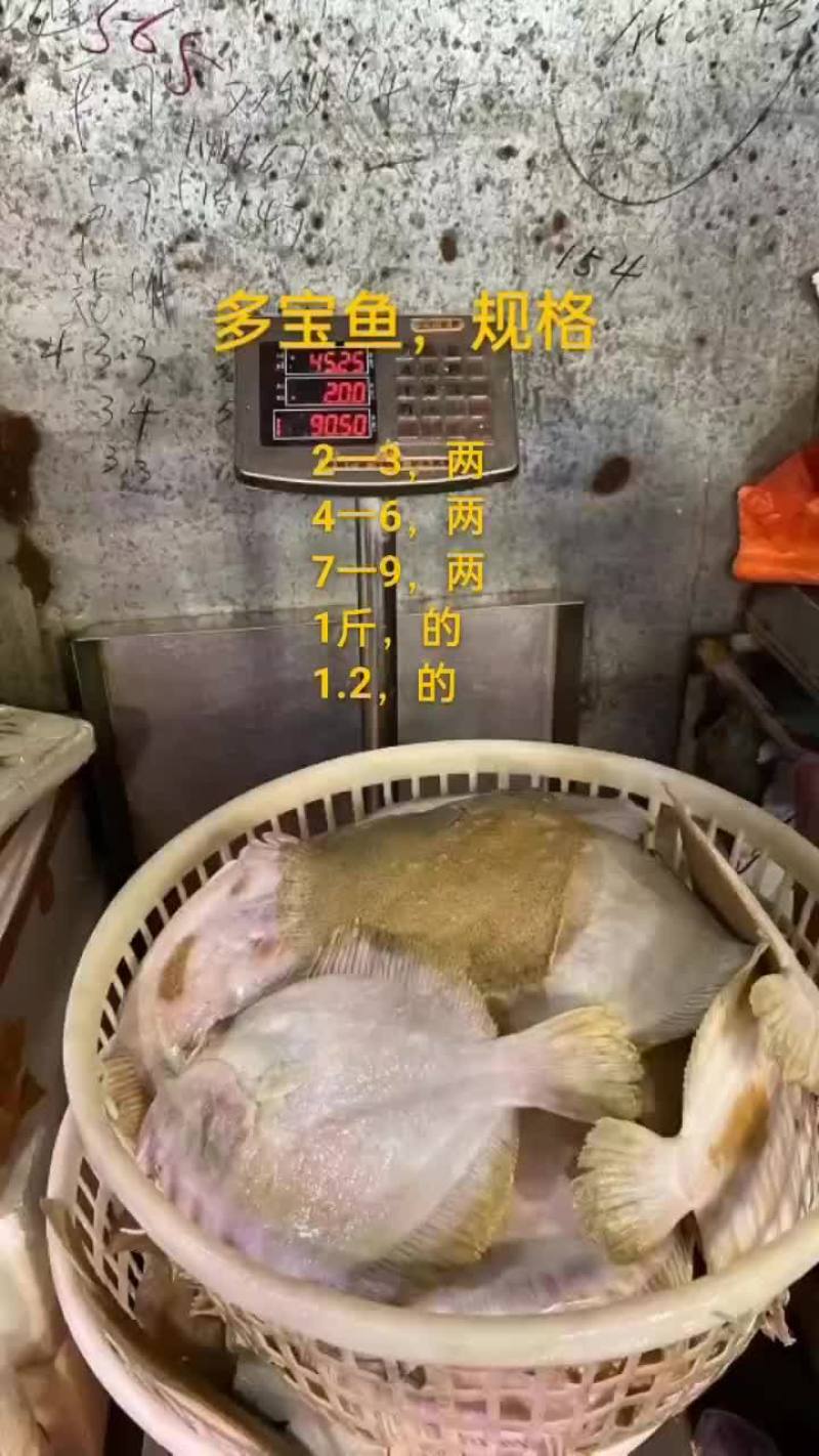 多宝鱼