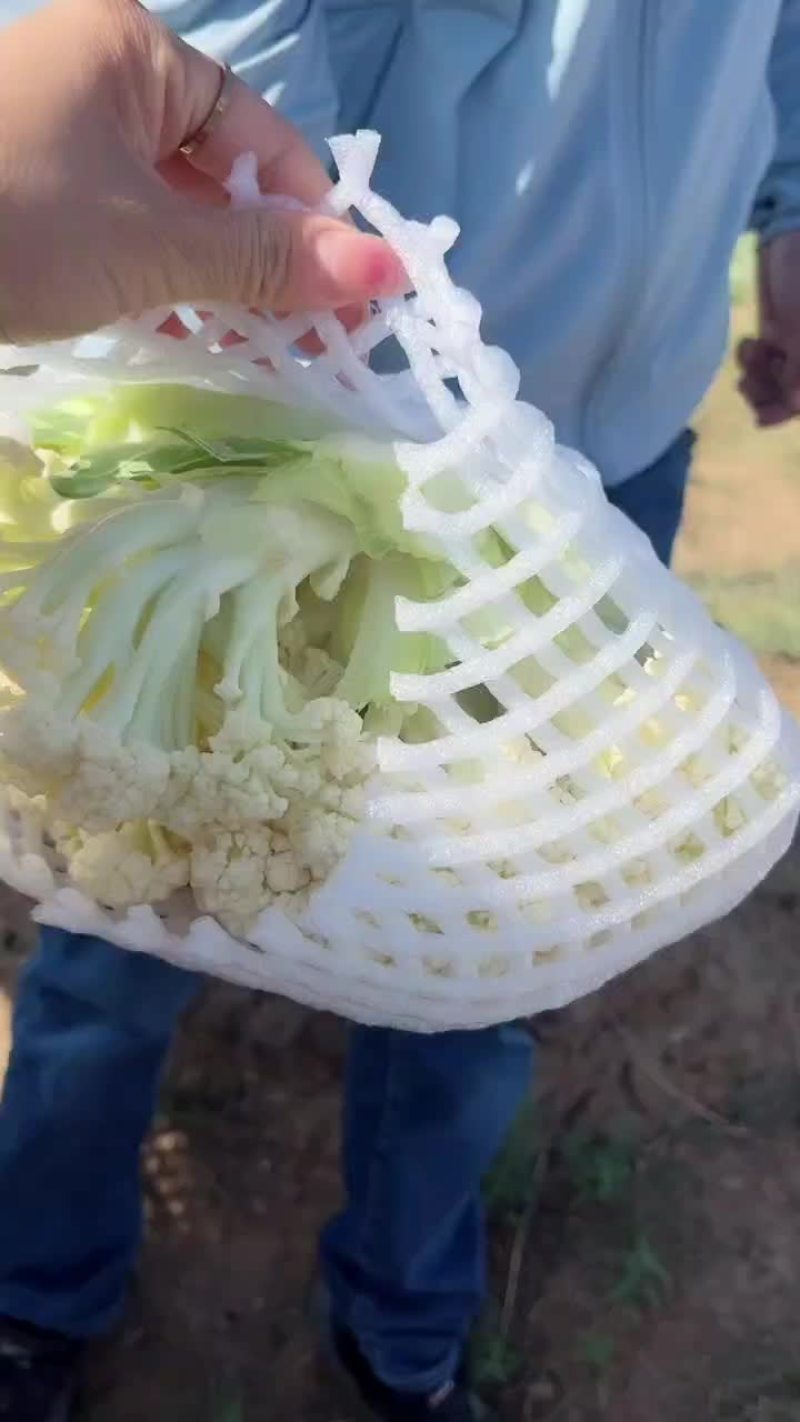 菜花