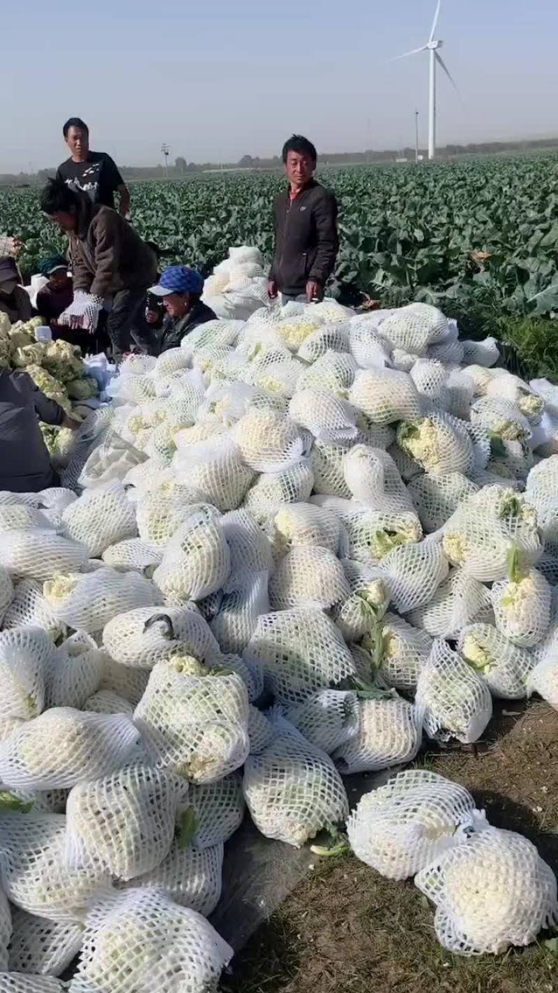 菜花