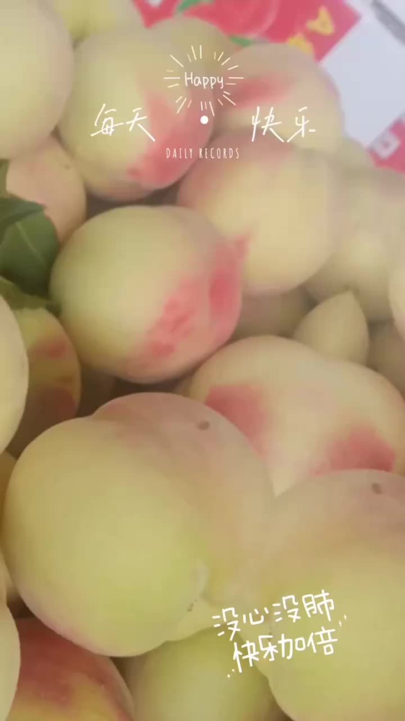 红不软毛桃