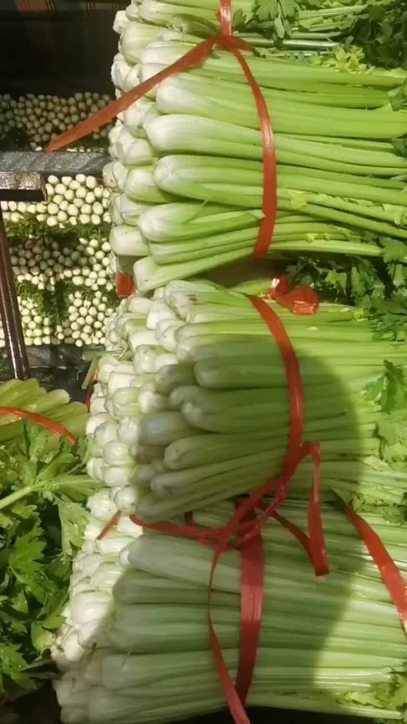 精品芹菜