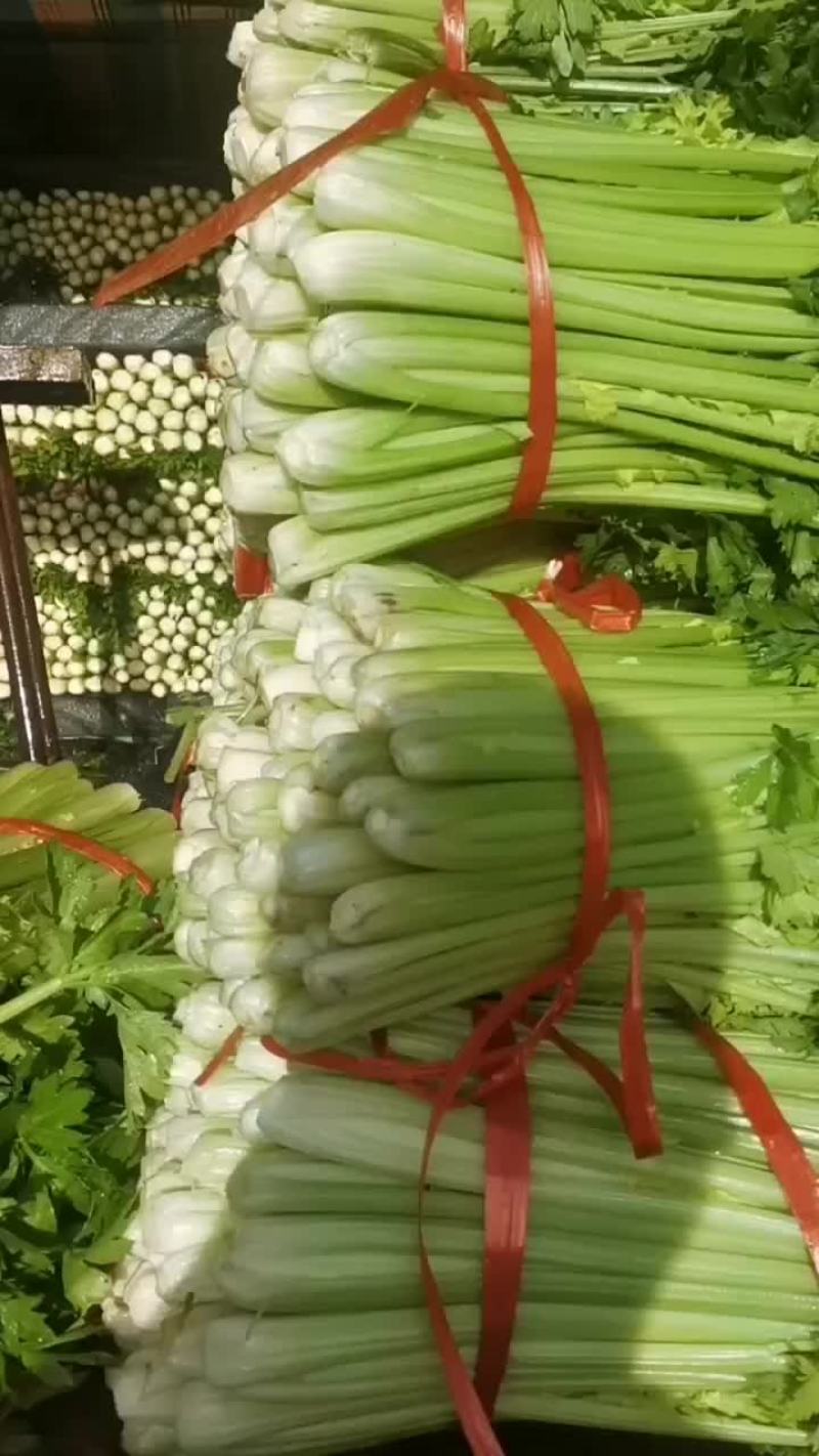 精品芹菜