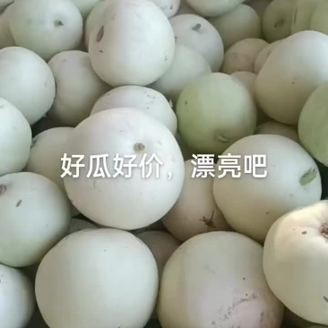 甜瓜