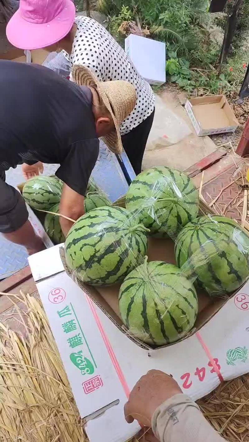 精品美都，8424西瓜，基地直供诚信经营全国发货欢迎来电