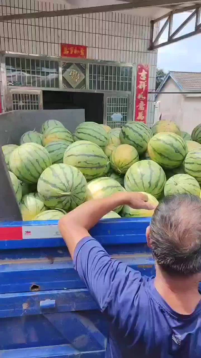 精品美都，8424西瓜，基地直供诚信经营全国发货欢迎来电