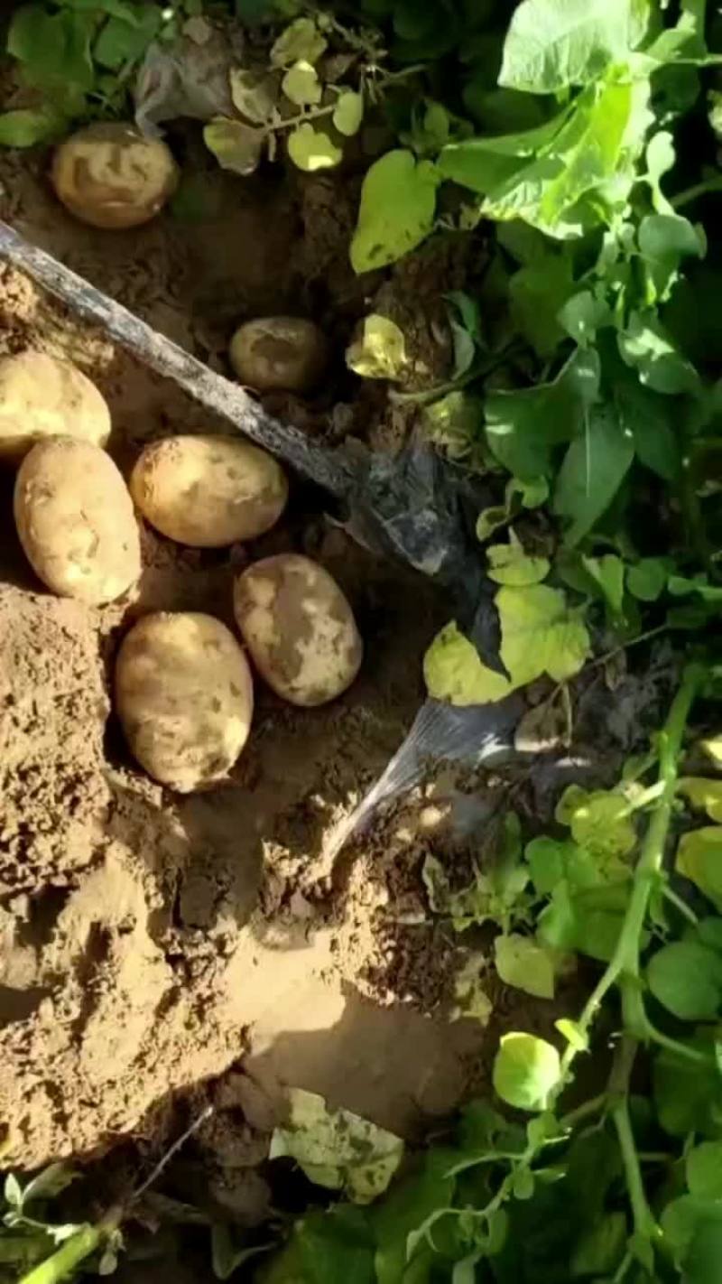 沃土