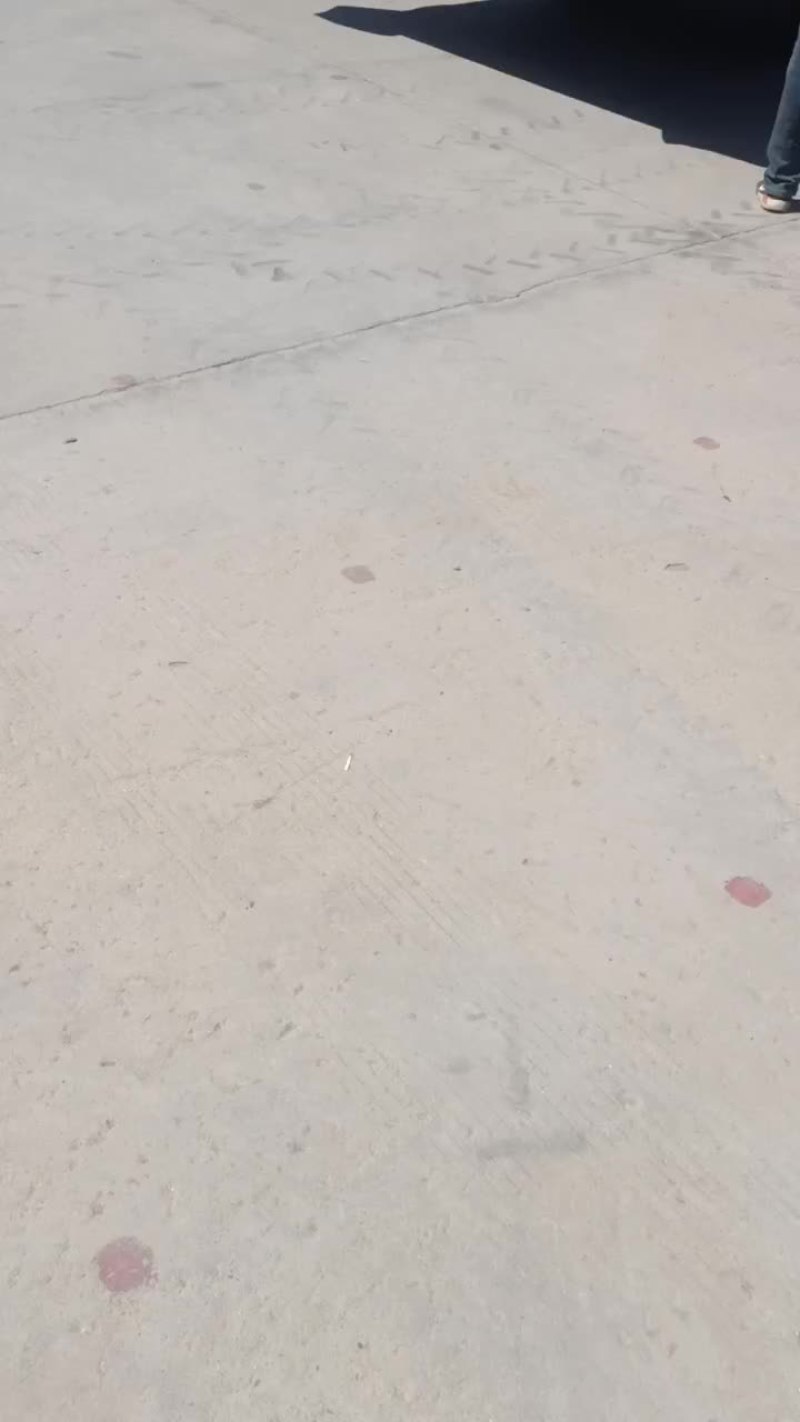 西瓜