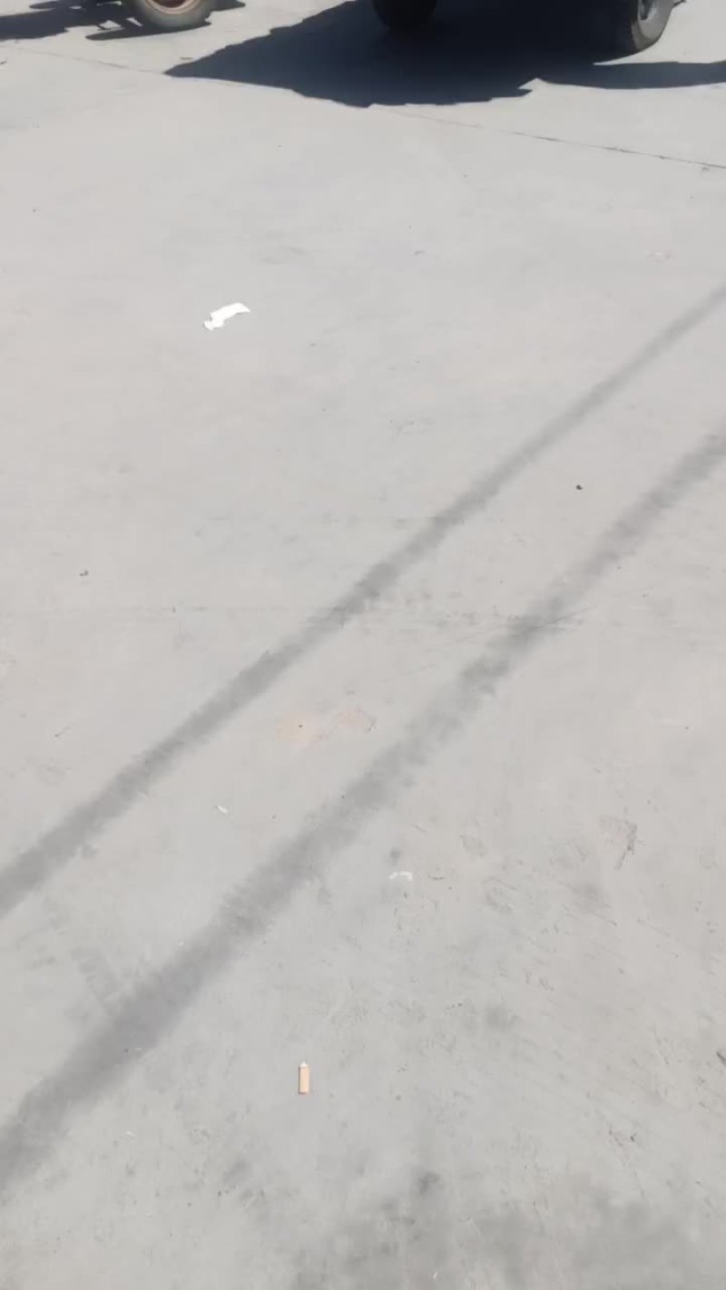 西瓜