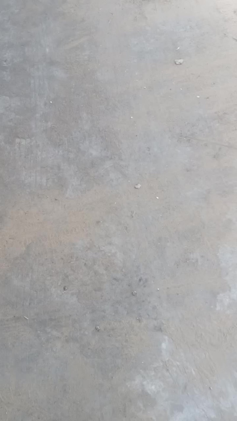 西瓜