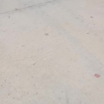 西瓜