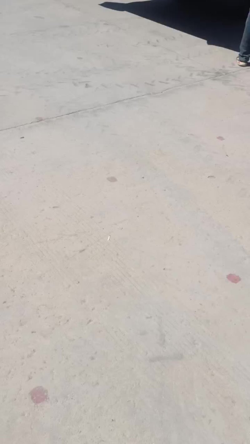 西瓜