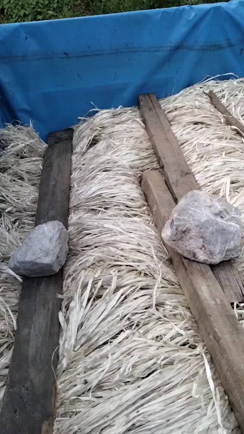 广东清远