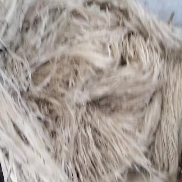 广东清远