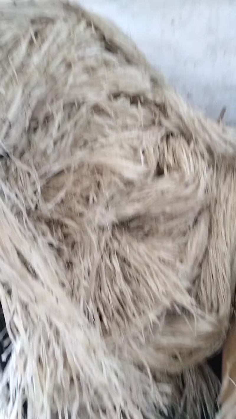 广东清远