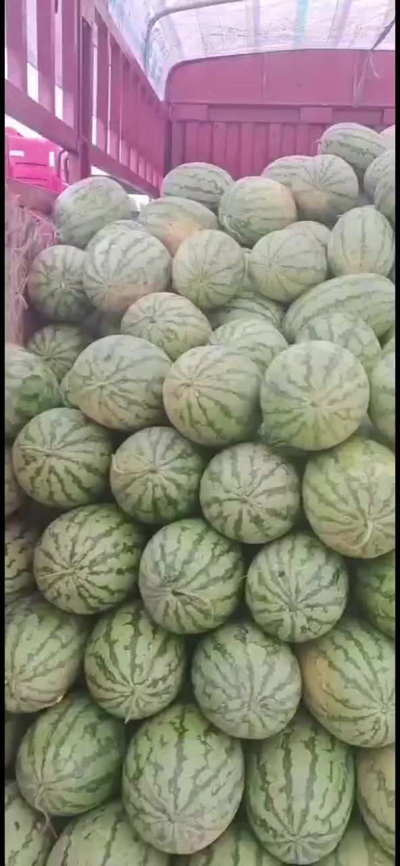 西瓜
