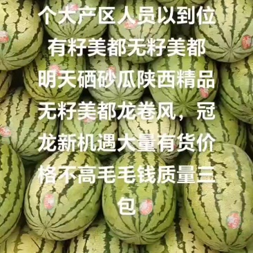 精品头茬有籽美都
