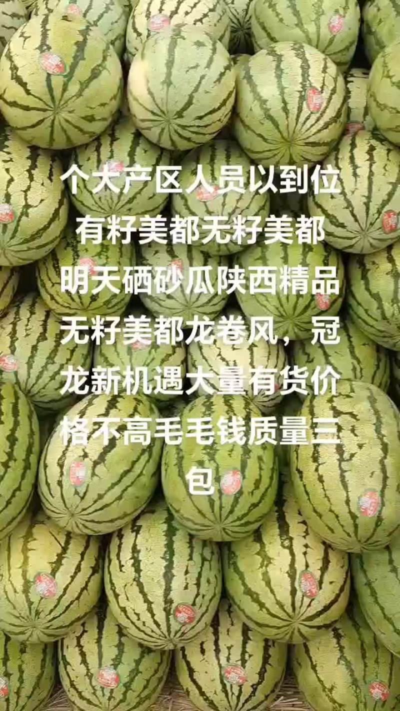 精品头茬有籽美都