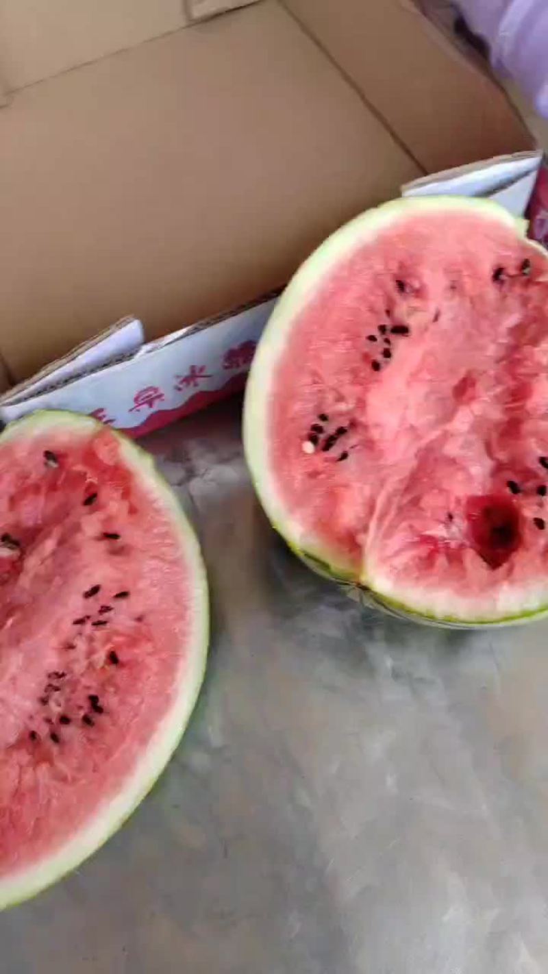 精品头茬有籽美都