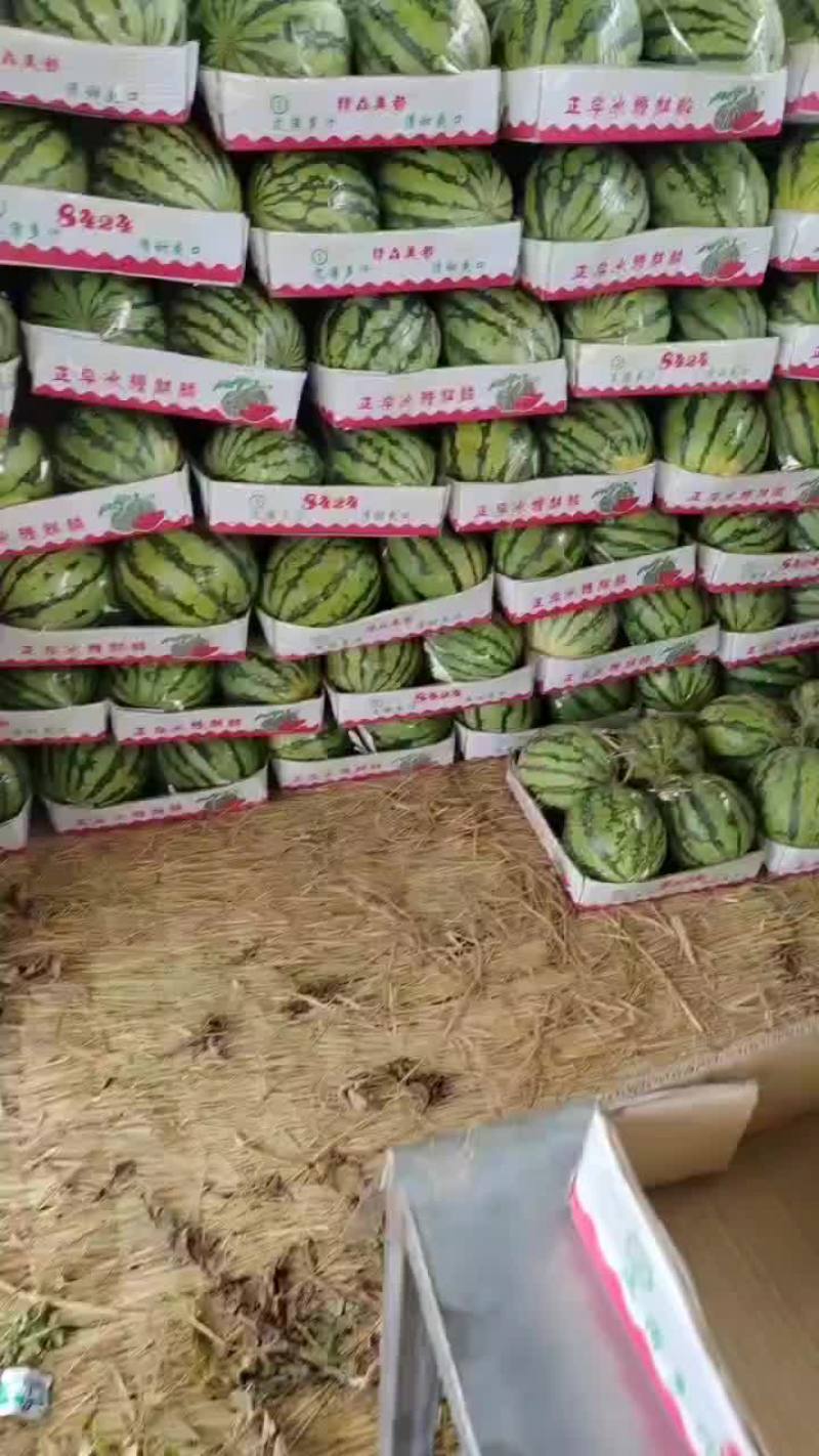 精品头茬有籽美都
