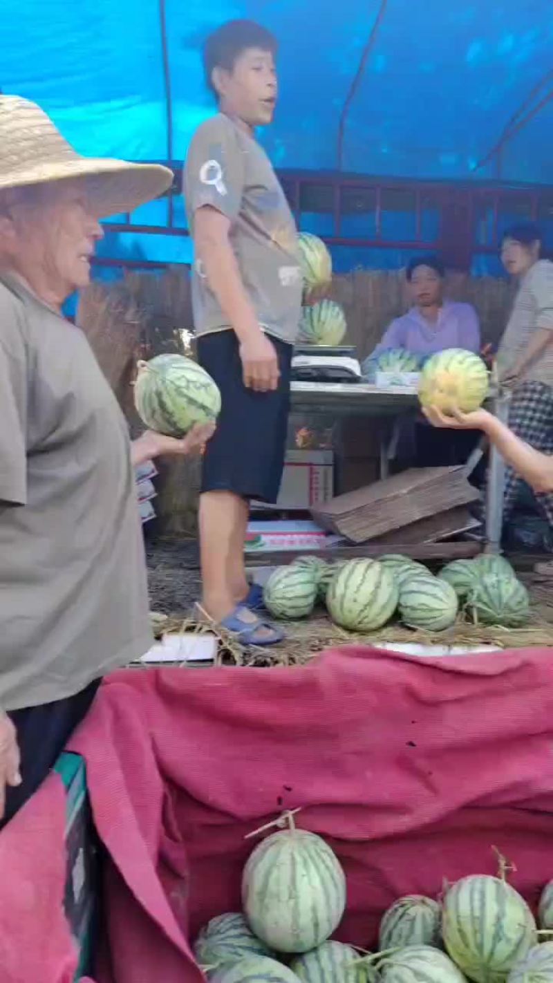 精品头茬有籽美都