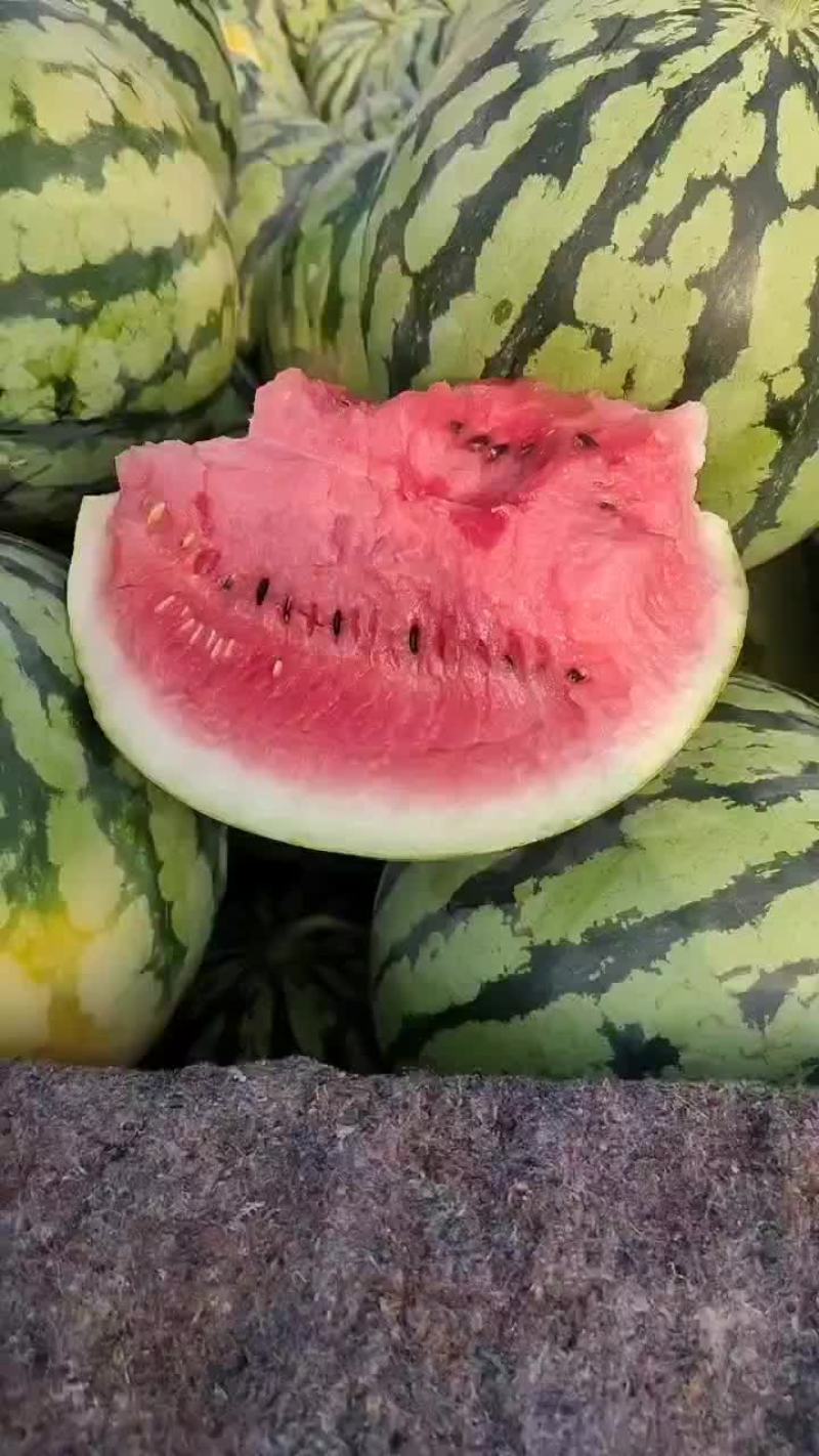 精品头茬有籽美都