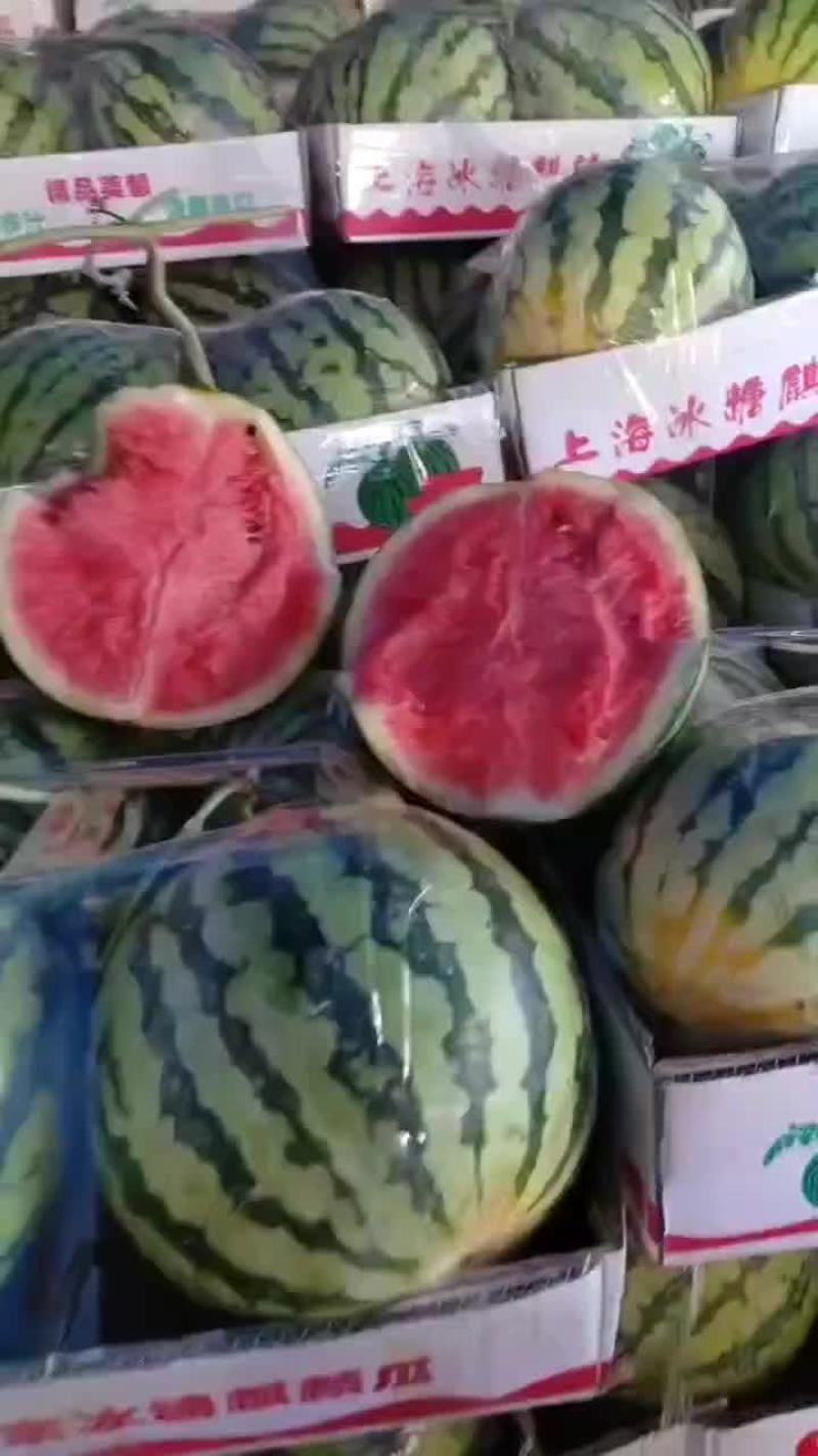 精品头茬有籽美都
