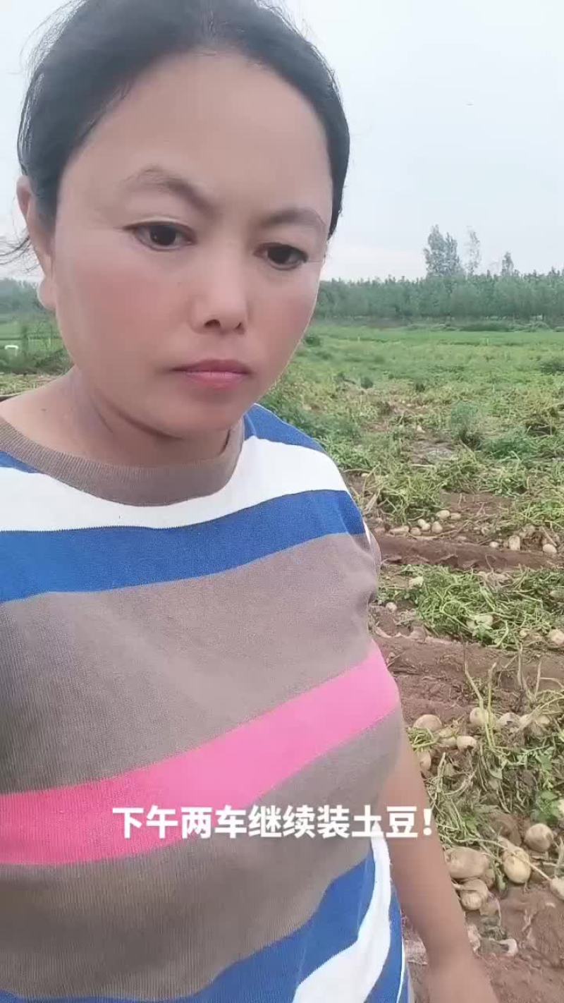 沃土土豆