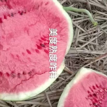美度
