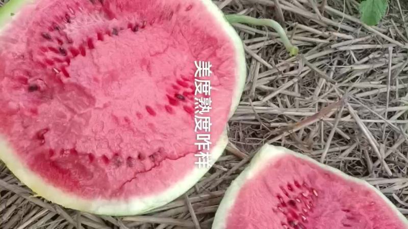 美度