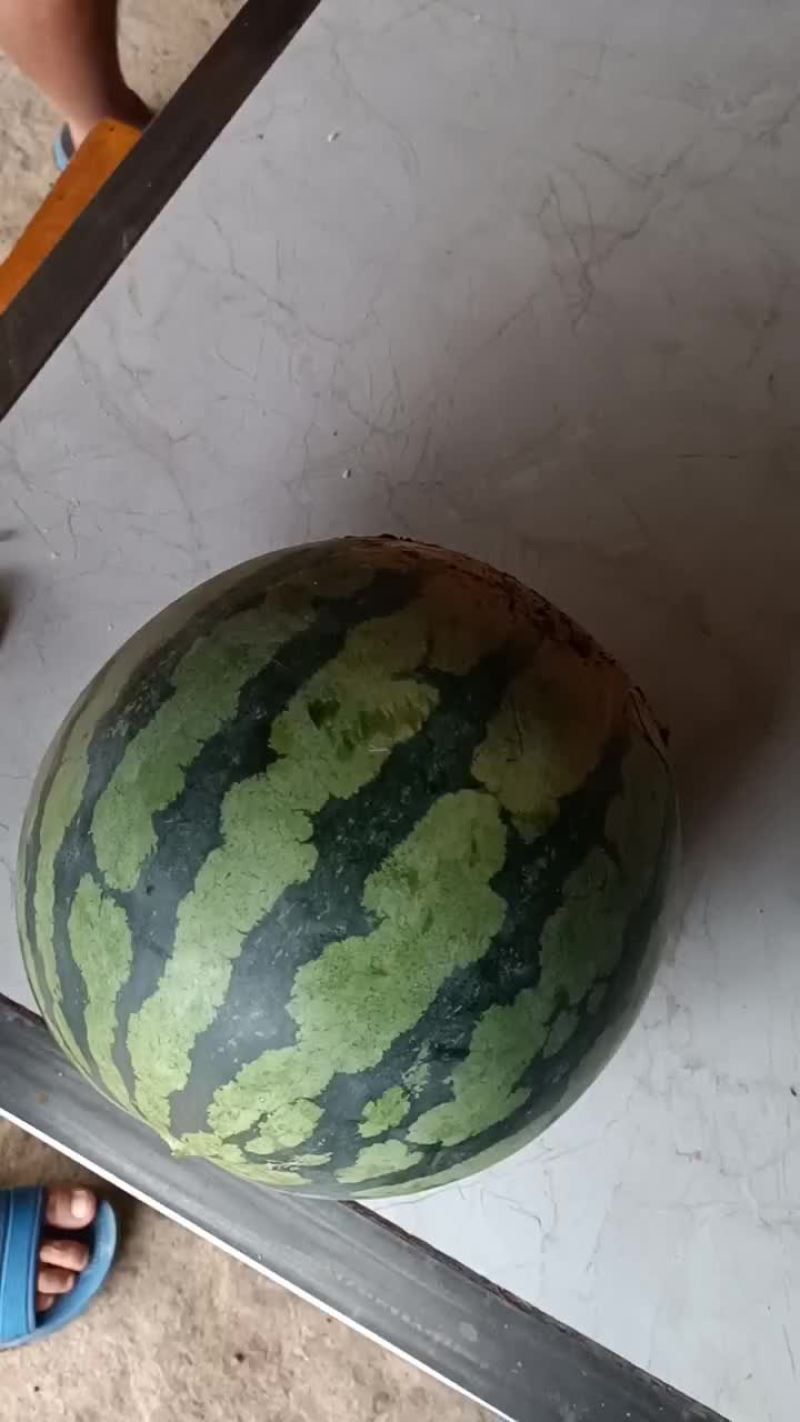 美度