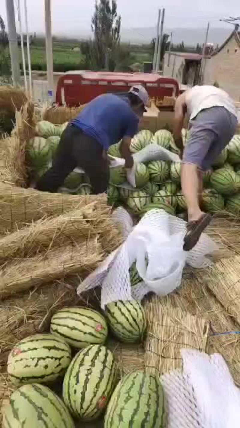 宁夏石头瓜欢迎过位老板定购