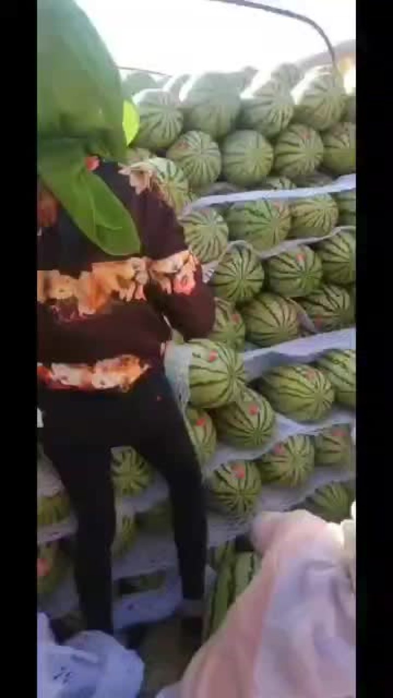 宁夏石头瓜欢迎过位老板定购
