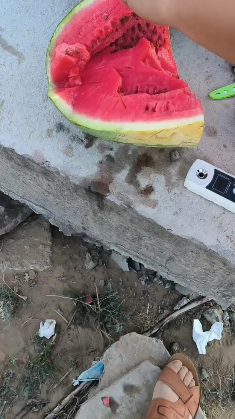 宁夏西瓜
