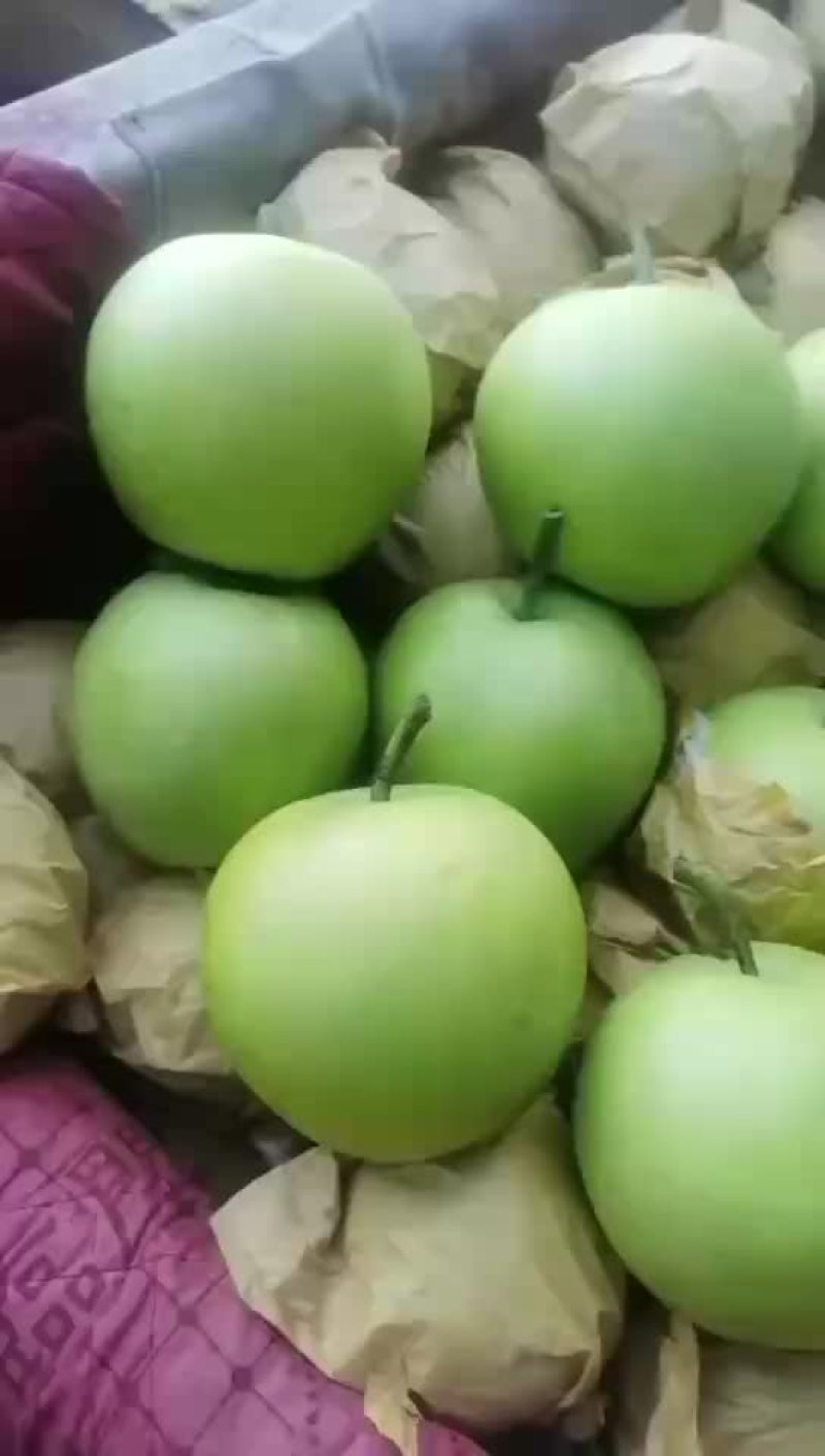 绿宝石梨🍐大量上市，半斤以上的，适合批发商超零售电商