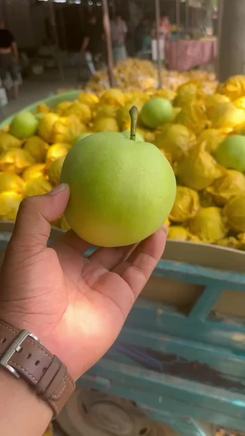 绿宝石梨🍐大量上市，半斤以上的，适合批发商超零售电商