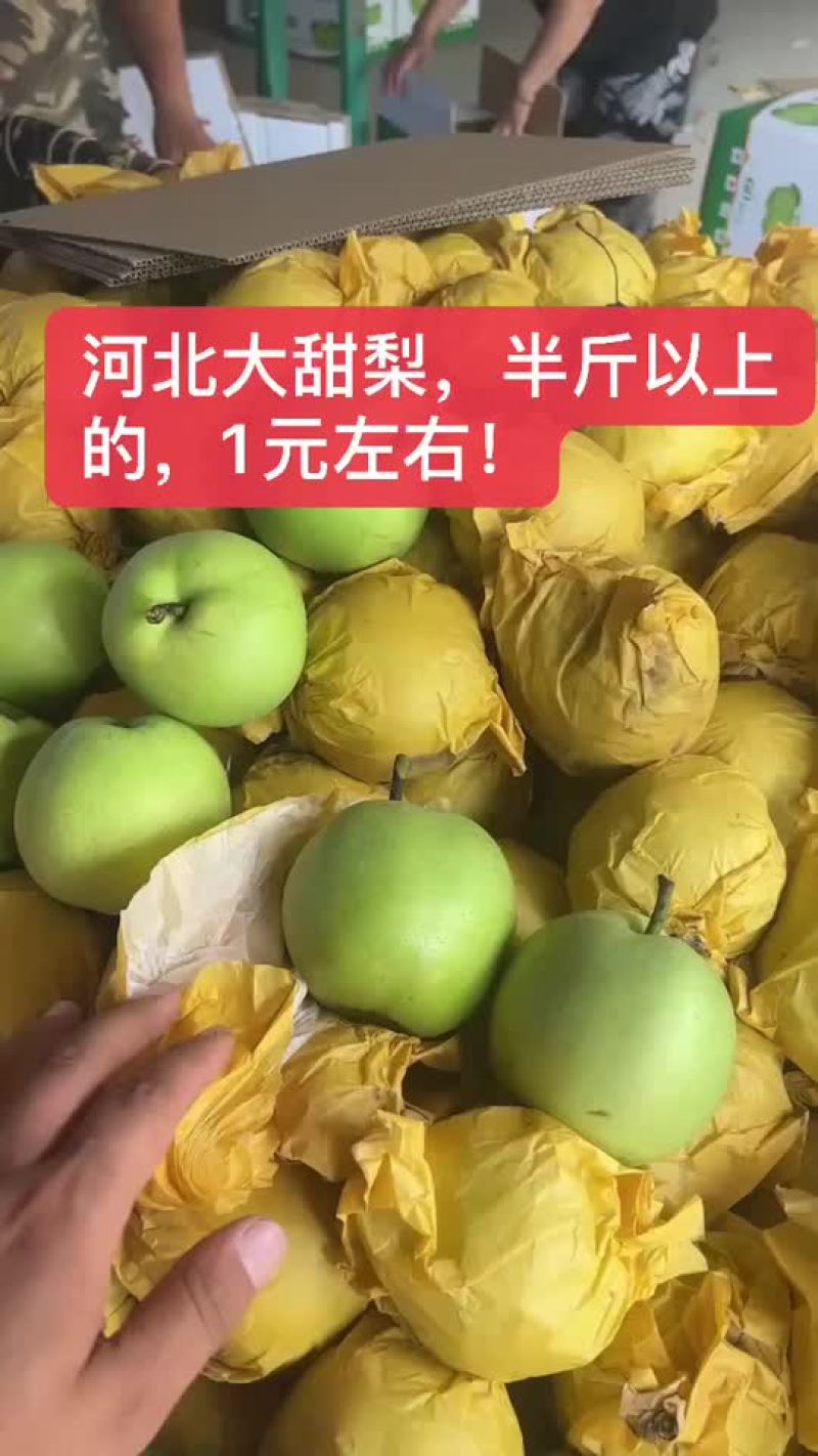 绿宝石梨🍐大量上市，半斤以上的，适合批发商超零售电商