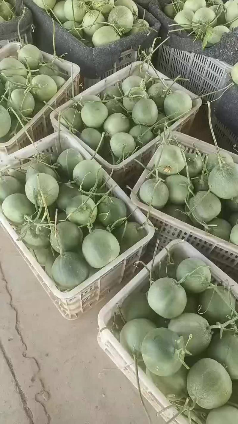 绿宝