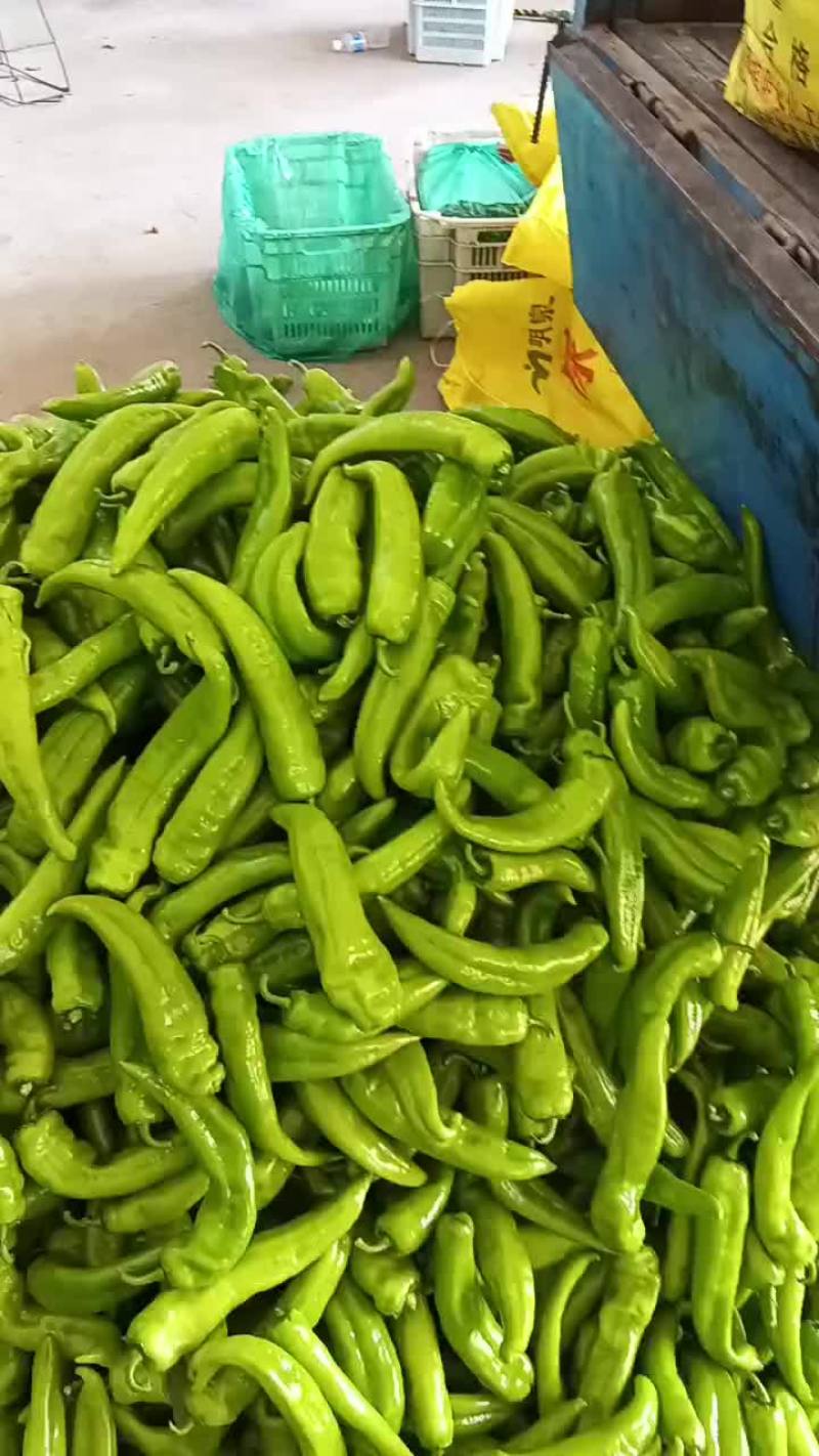 东黄