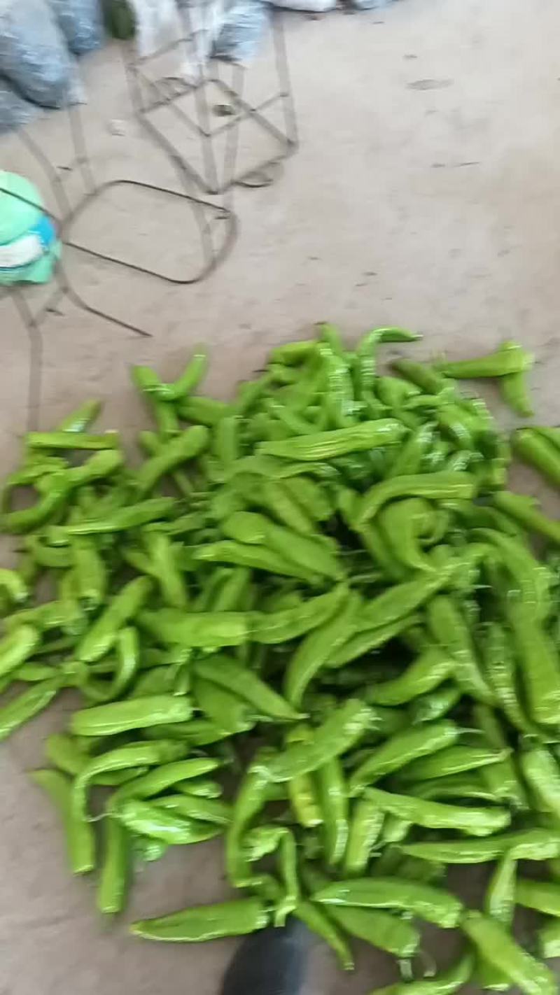 东黄