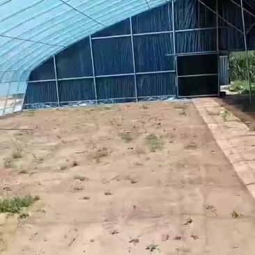 半坡暖棚