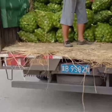 青皮核桃