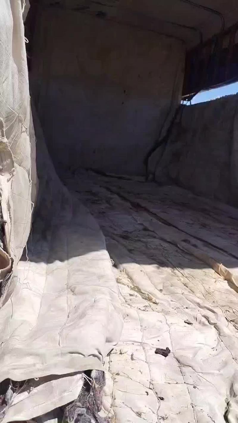 沙地西瓜