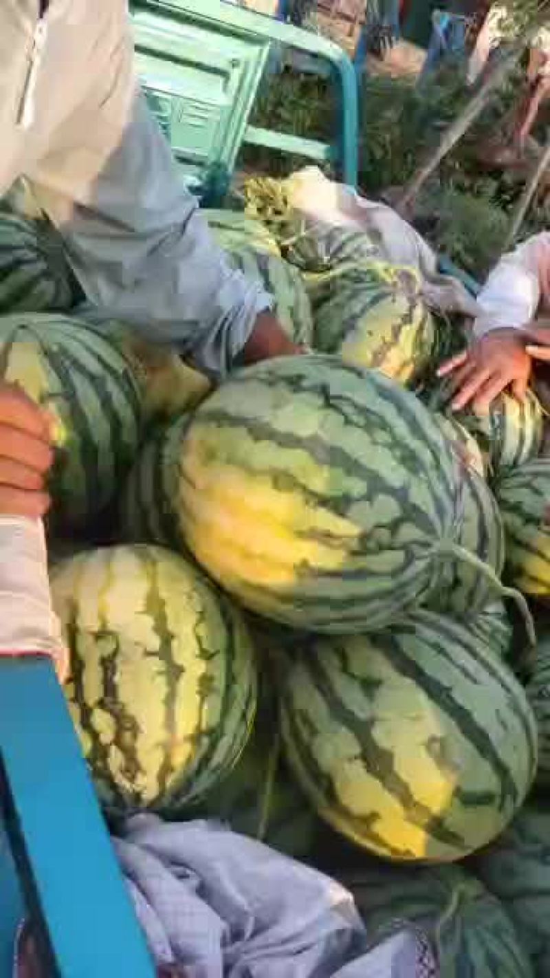 精品美都已大量上市，需要的可以联系我