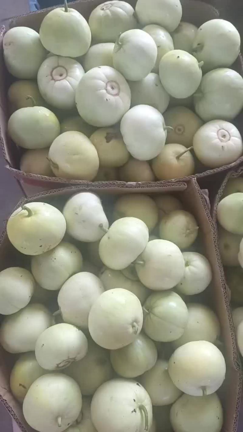 甜宝甜瓜口感清脆香甜可口