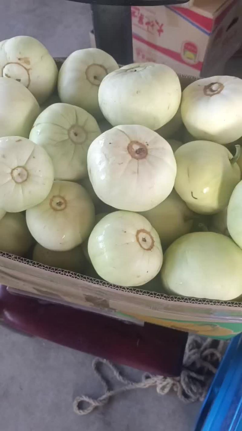 甜宝甜瓜口感清脆香甜可口